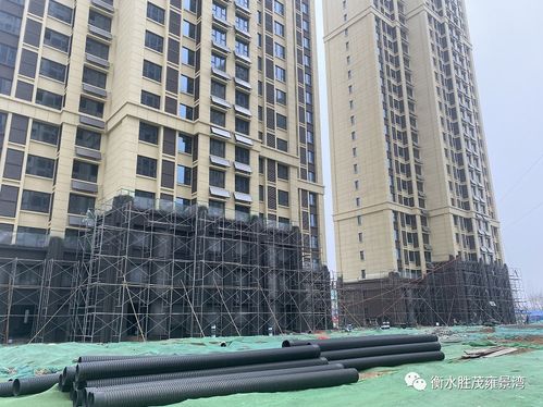 雍景灣3月工程進度播報丨春日凝聚美好,共鑒新家容顏
