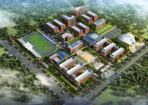 為了孩子上學(xué) 這些購(gòu)房建議值得參考